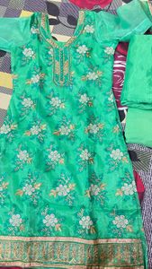 Green partyware net suit