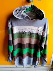 ✈️Imported L.Brador Branded Unisex Hoodie