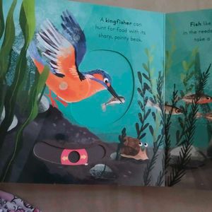 Big Outdoors for Little Explorers: River