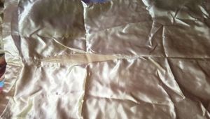 Embroidered Net Saree (ready to wear)