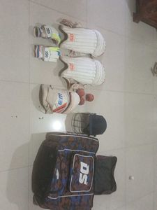 DS Cricket Kit