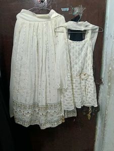 Elegant Embellished Ethnic Skirt