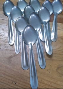 12 Piece Spoons