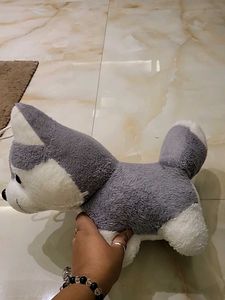 Husky Plush Toy