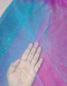 Multicolour Net Saree