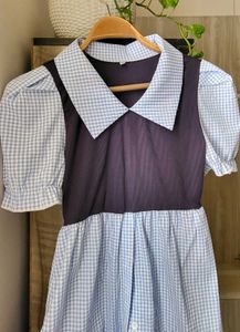 Cute Gingham Collared Dress