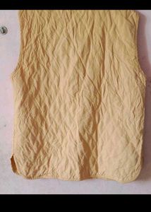 Vintage Sleeveless Vest