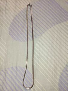 TwO Silver Snake Chain Necklace