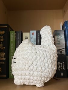 Customized Crotchet Cat plushie