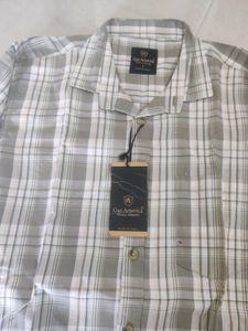 Gaz America Men's Light Olive Green &amp; White Checke