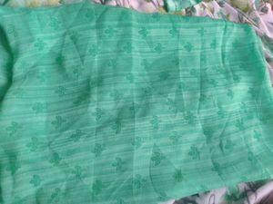 Attractive Green Saree