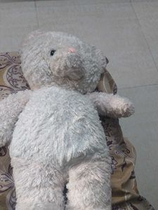 Soft Plush Teddy Bear Toy