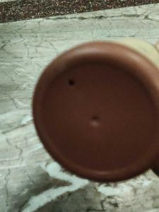 Lion Water Bottle - Life is Beautiful
