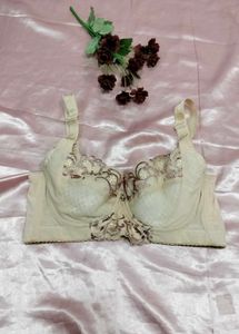 Elegant Lace Trim Bra