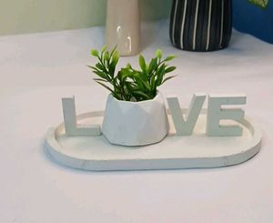 LOVE Decorative Showpiece with live cactus plant (