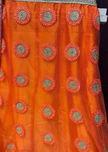 Brand New Net Lehenga Choli Set