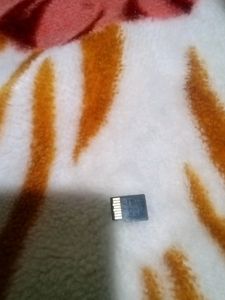 Micro SD Card "2GB"