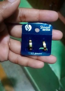 Dazzle Hoop Stainless Steel Earrings