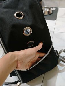Transparent Cat Bubble Backpack