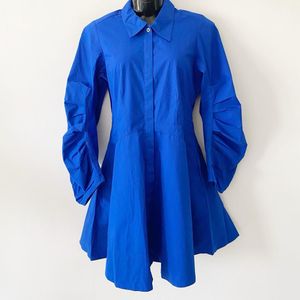 Banana Republic Cobalt Blue Paxton Cotton Pop