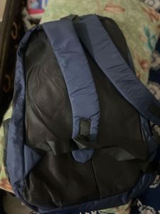 Spykar Blue Backpack