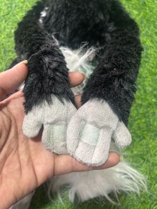 Cute Monkey Plush