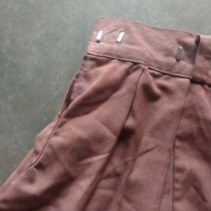 Brown Pleated Skirt