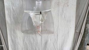 I. Sheer Lace Thong Panty