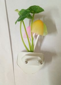 🆕 Wall Lamp Multicolour Light (pack of 1)