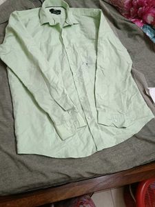 Pista Green Shirt