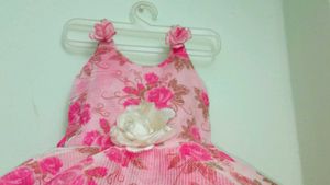 Adorable Pink Floral Baby Dress