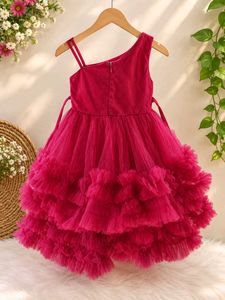 Girls Pink Net Party Dress