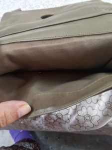 Baggit clutch