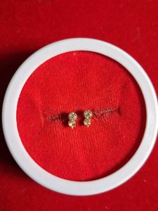 Sparkling Stud Earrings gold
