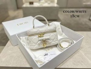Christian Dior Vanity Bag