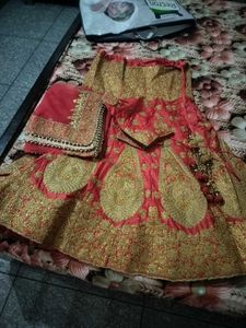 pearls and jarri Lehenga Choli Set