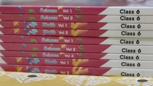 Class 6 Science And Maths Books