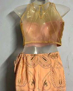 Stunning Peach Sequin Lehenga Choli Set