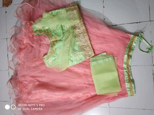 Crop Top Choli