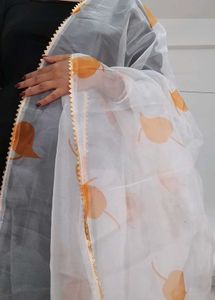 Elegant Organza Dupatta