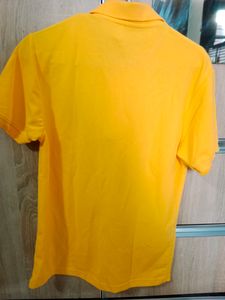 New Polo Neck Cotton Shirt for Men, Pack of 1