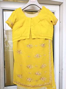 Embroidered Saree + Blouse