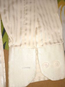 Men's Striped Cream Shirt