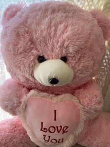 Pink Plush Teddy Bear