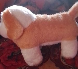 Very Cute Puppy
