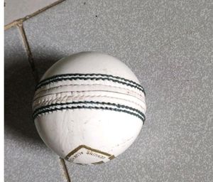 Waterproof Cricket Ball #Cricket Bal