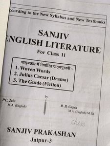 English literature sanjiv passbook 11th