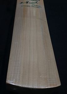 SG GRADE 1 ENGLISH WILLOW