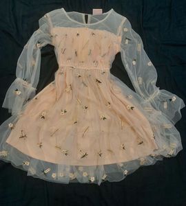 Peach Embroidered Tulle Dress