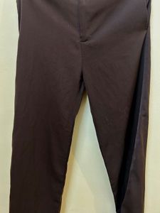 Brown Dress Pants